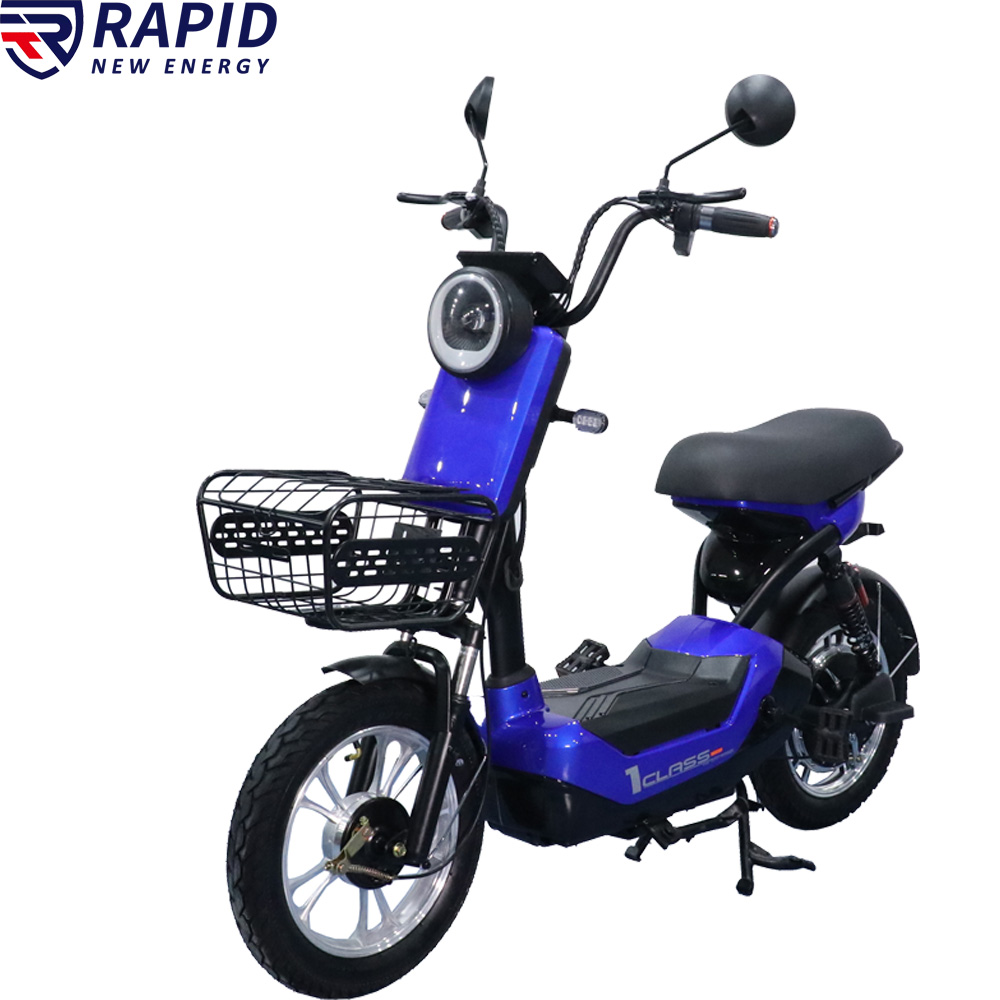 YTYIN Bicicletta Elettrica Eco - Electric Scooter recensione e prezzo