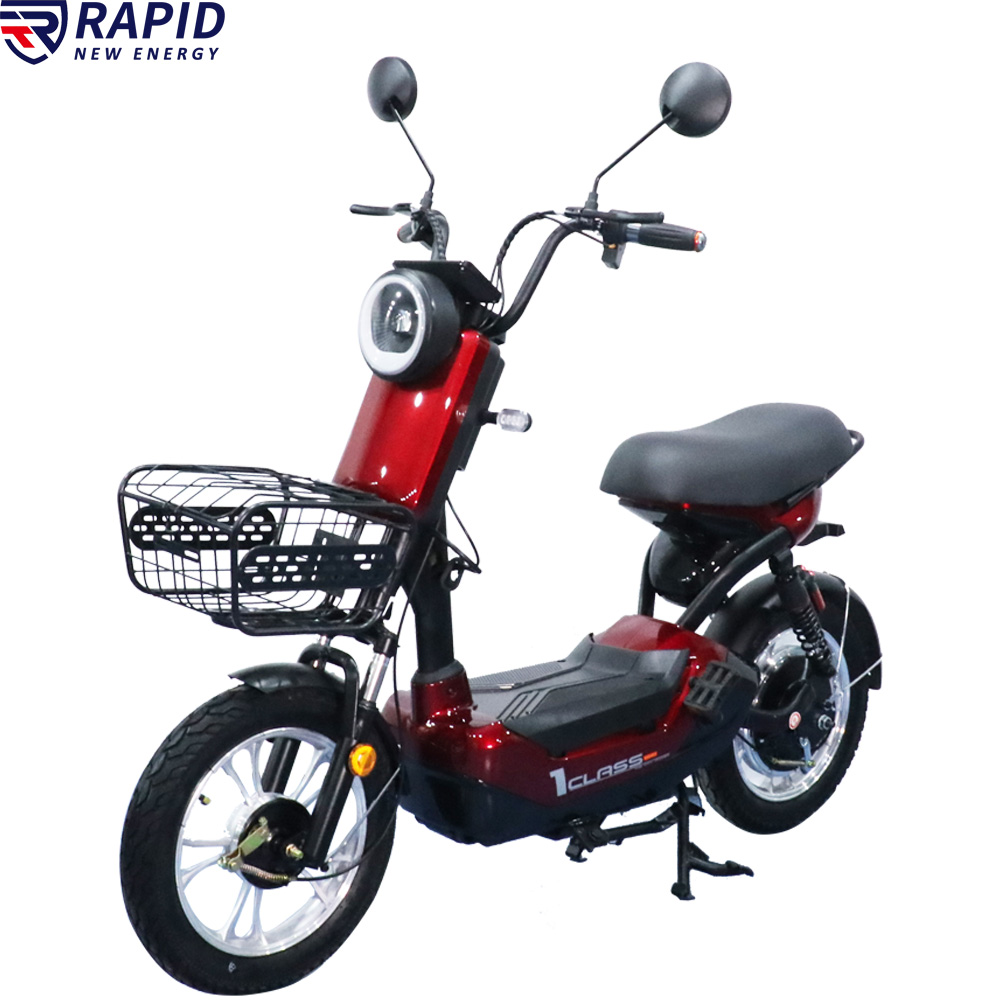 YTYIN Bicicletta Elettrica Eco - Electric Scooter recensione e prezzo