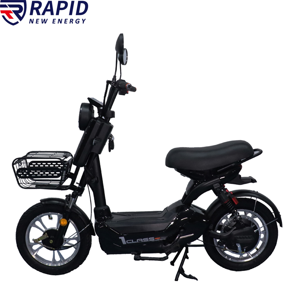 YTYIN Bicicletta Elettrica Eco - Electric Scooter recensione e prezzo