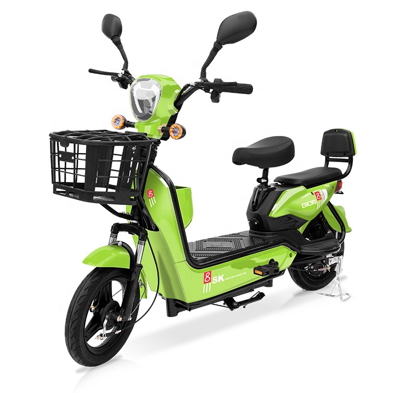 YTYIN Bicicletta Elettrica da  - Electric Scooter recensione e prezzo