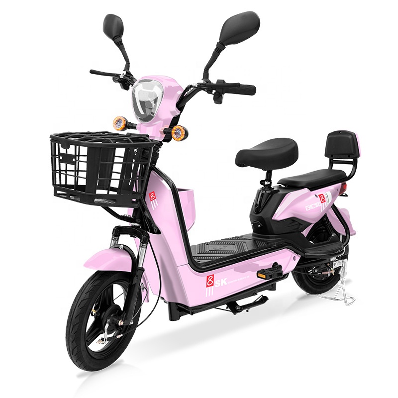 YTYIN Bicicletta Elettrica da  - Electric Scooter recensione e prezzo