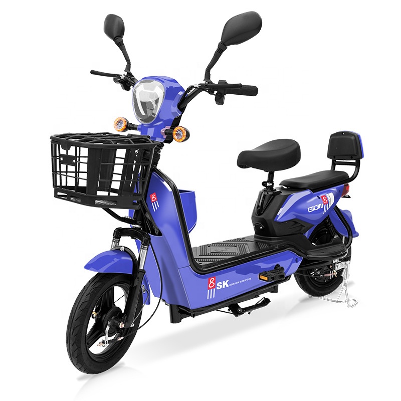 YTYIN Bicicletta Elettrica da  - Electric Scooter recensione e prezzo