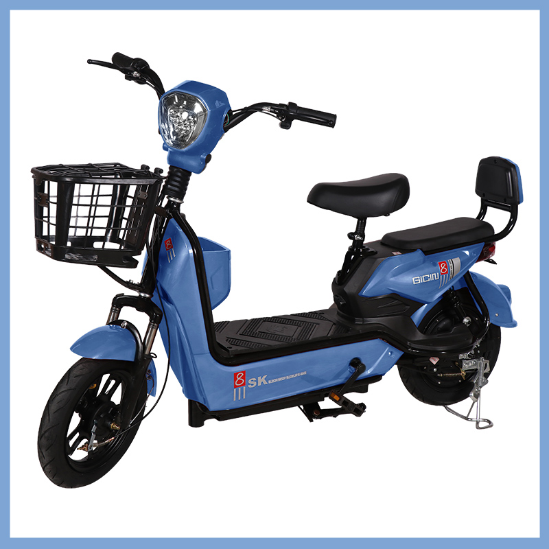 YTYIN Bicicletta Elettrica da  - Electric Scooter recensione e prezzo
